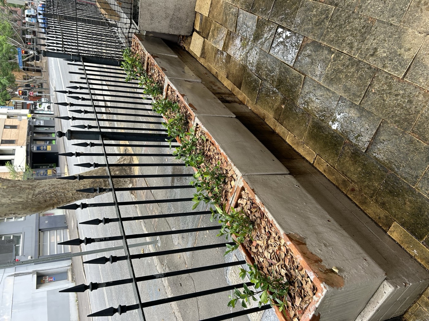 Commercial planting project