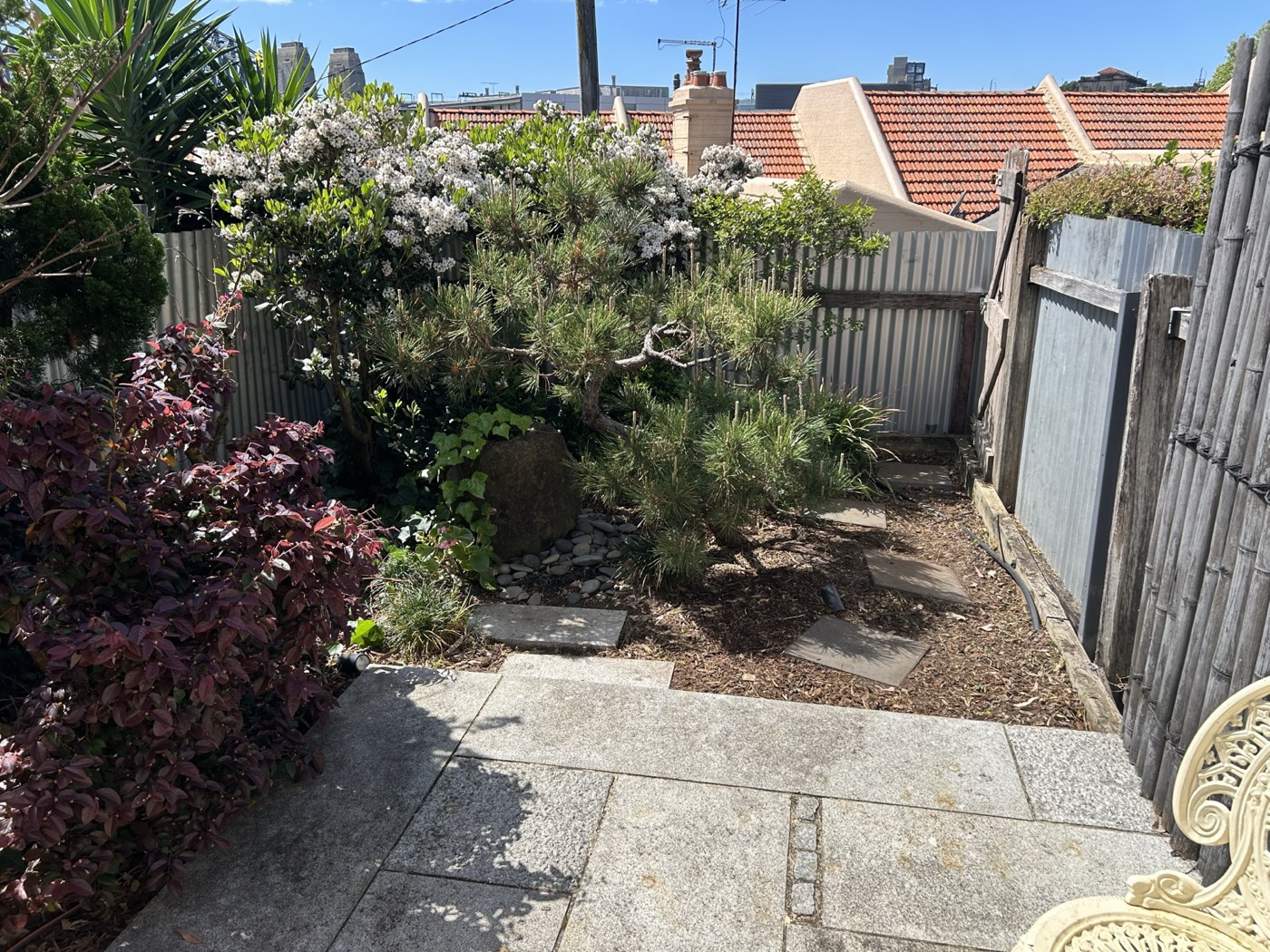 Courtyard garden cleanup