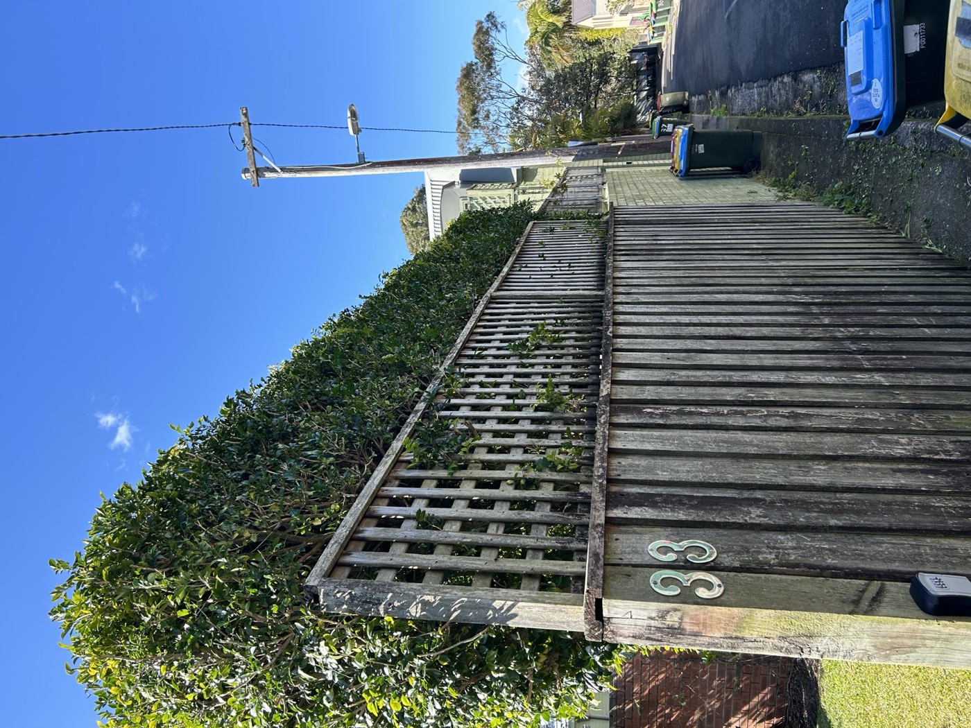 Professional hedge trimming